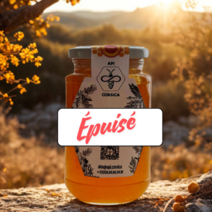 Miel de maquis d'automne