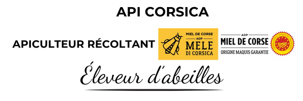 API CORSICA